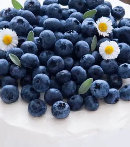 Ina Garten Blueberry Lemon Cream Cake recipe