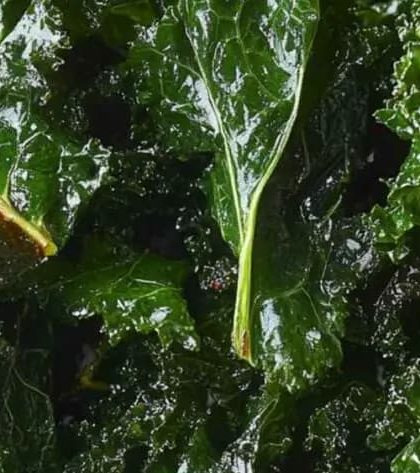 Ina Garten Crispy Roasted Kale