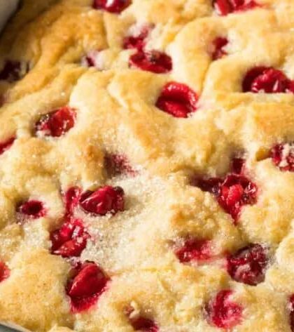 Ina Garten Easy Cranberry and Apple Cake