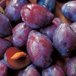Ina Garten Italian Plum Tart