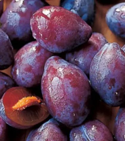 Ina Garten Italian Plum Tart