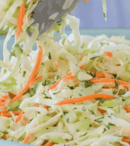 Ina Garten Vegetable Coleslaw