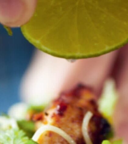 Ina Garten Chicken Skewers recipe